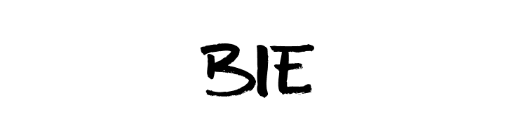 Anilin Bold  Free Fonts Download