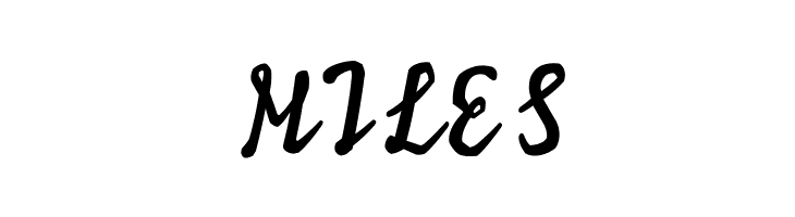 Ylvie script bold Italic  Free Fonts Download