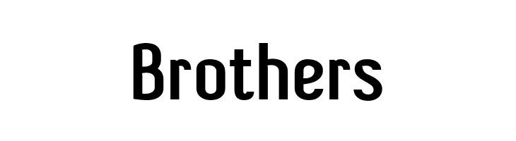 ShiftTypeBasic  Free Fonts Download