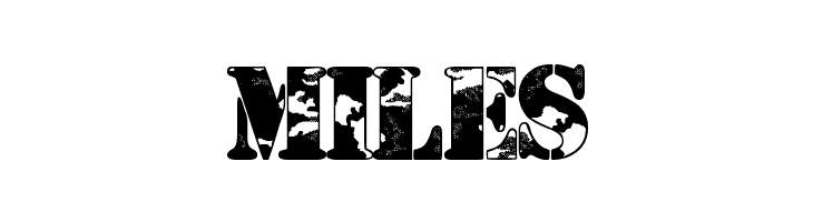 Camouflage Urban  Free Fonts Download