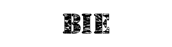 Camouflage Jungle  Free Fonts Download