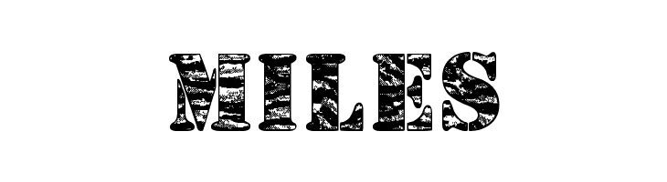 Camouflage Jungle  Free Fonts Download
