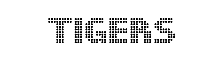 DS Dots Medium  Free Fonts Download