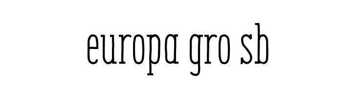EnyoSlabRegular  Free Fonts Download