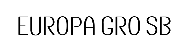 Instant Noodle Regular  Free Fonts Download