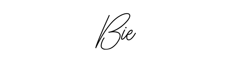 Hamillton Demo  Free Fonts Download