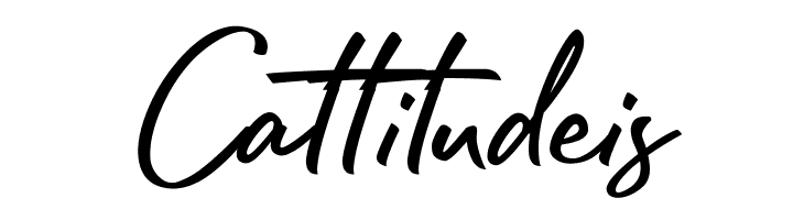 Rafttel Script DEMO  Free Fonts Download