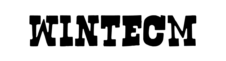 Bogusflow  Free Fonts Download