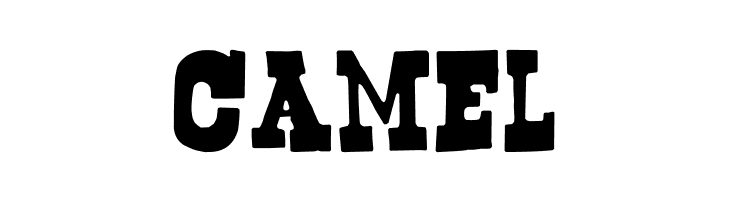 Bogusflow  Free Fonts Download