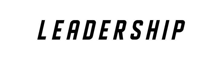 DISPLAYEDOblique  Free Fonts Download