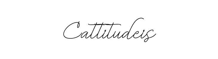 BekafonteScript  Free Fonts Download