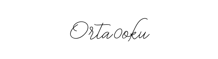 BekafonteScript  Free Fonts Download
