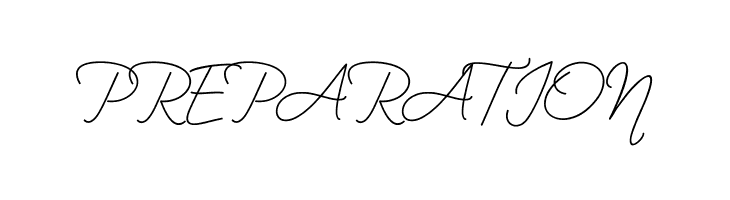 BekafonteScript  Free Fonts Download