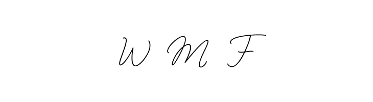 BekafonteScript  Free Fonts Download