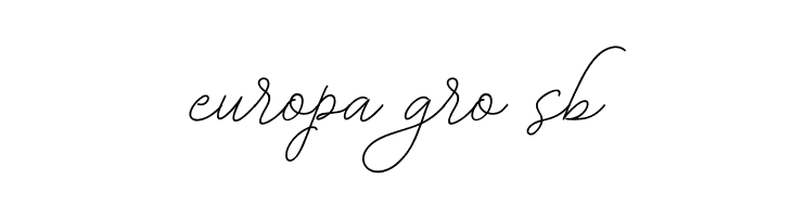 BekafonteScript  Free Fonts Download