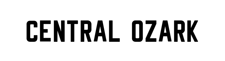 Rheiborn Sans Clean  Free Fonts Download