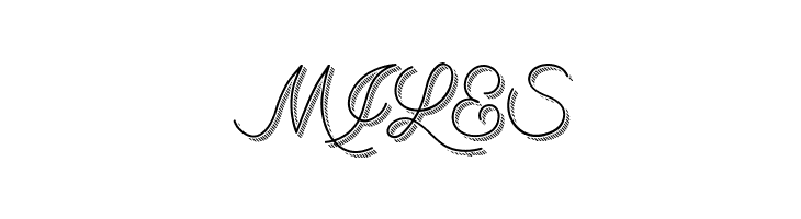 BranumCursive  Free Fonts Download