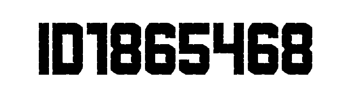 Rowdy Space Pirates  Free Fonts Download