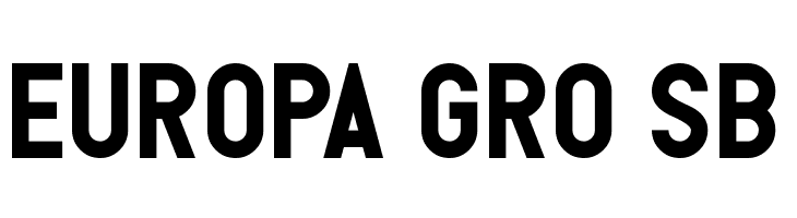 Torque Sense  Free Fonts Download
