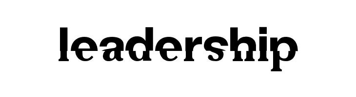 DS Mechanical Bold  Free Fonts Download