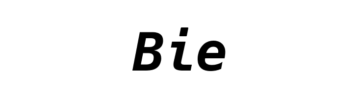 Hack Bold Italic  Free Fonts Download