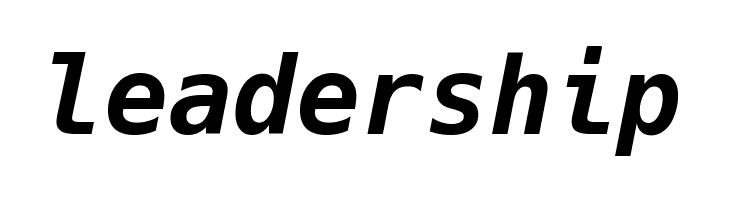 Hack Bold Italic  Free Fonts Download