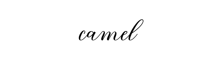 BridgetScript  Free Fonts Download