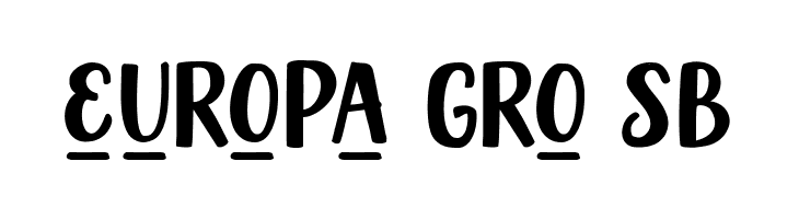 ChandelleDisplay  Free Fonts Download
