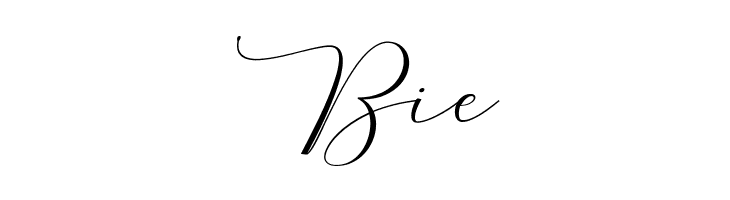 MelindaScript  Free Fonts Download