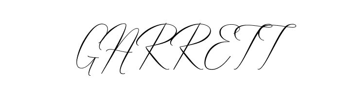 Robertortiz  Free Fonts Download