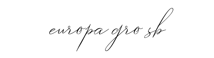 Robertortiz  Free Fonts Download