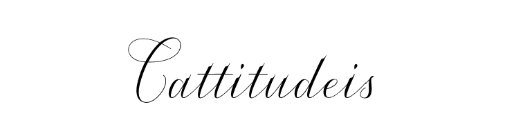 Serendipity  Free Fonts Download