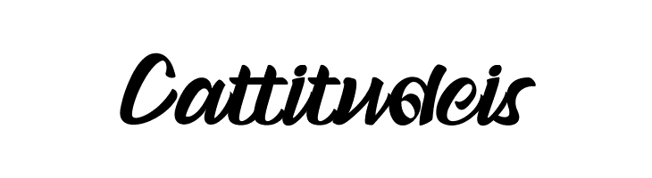 The Beach Boy  Free Fonts Download