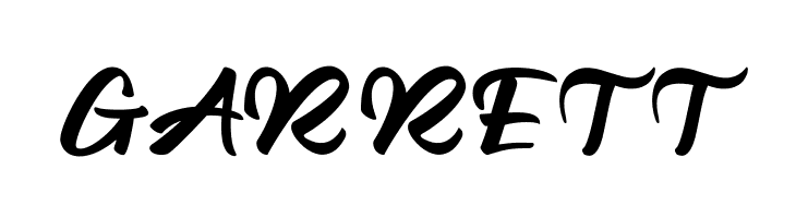 The Beach Boy  Free Fonts Download