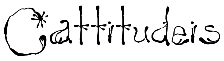 yay17  Free Fonts Download