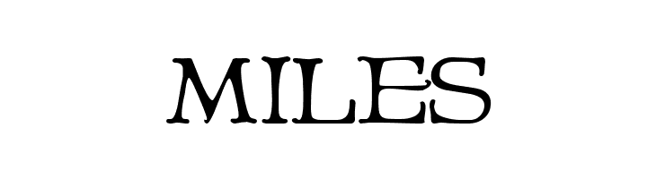 Niederwald  Free Fonts Download