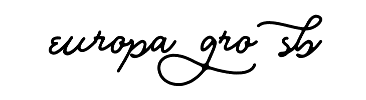 Bull Stander Free Demo  Free Fonts Download