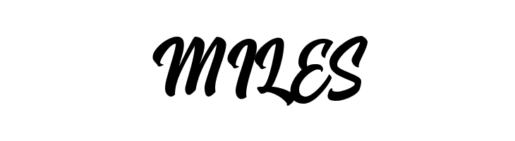 Hoodson Script Free Demo Regular  Free Fonts Download