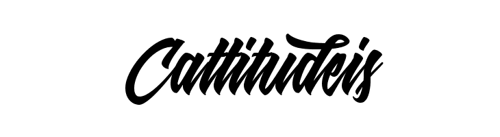 Shanders Free  Free Fonts Download