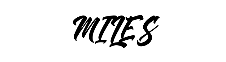 Shanders Free  Free Fonts Download