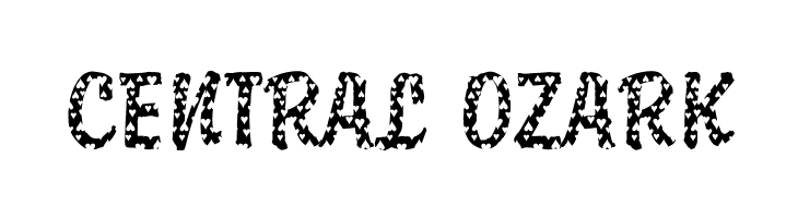 DTCBrodyM33  Free Fonts Download