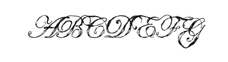 Antatomy Antatomy  Free Fonts Download