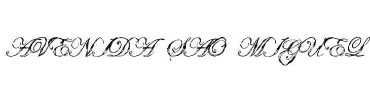 Antatomy Antatomy  Free Fonts Download