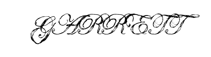 Antatomy Antatomy  Free Fonts Download