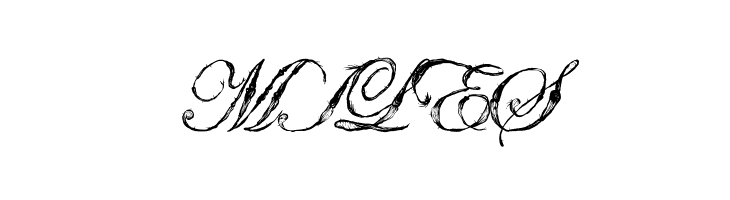 Antatomy Antatomy  Free Fonts Download