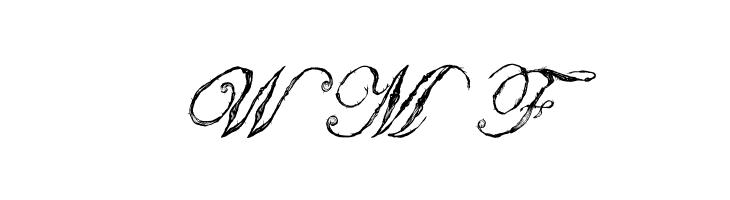 Antatomy Antatomy  Free Fonts Download