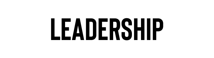 Bison Bold  Free Fonts Download