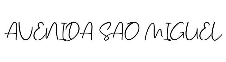 Salmon Script  Free Fonts Download