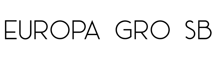 AceSansDemo  Free Fonts Download