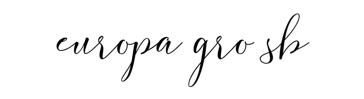 FlashScriptDEMO  Free Fonts Download